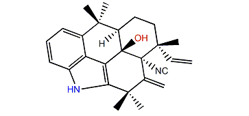 Fischambiguine A